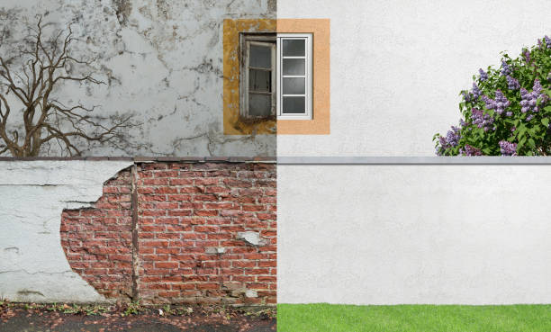 Reliable Compton, CA Mold Removal Solutions